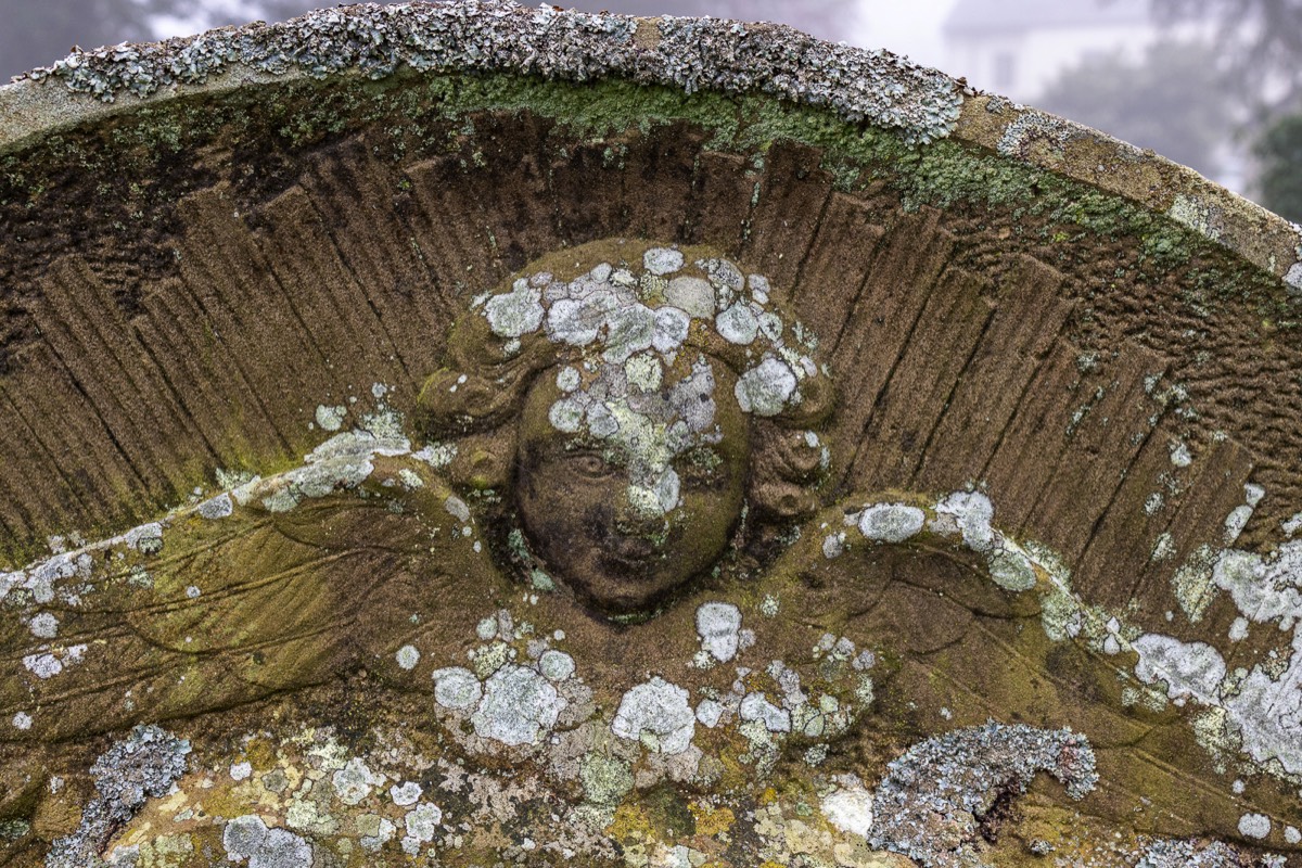 Stacks Image 1278