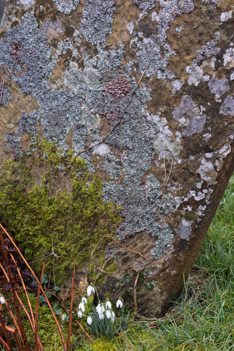 Stacks Image 1256