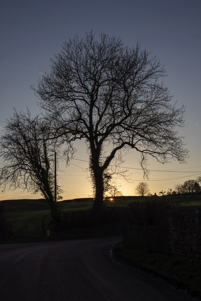 Stacks Image 1230