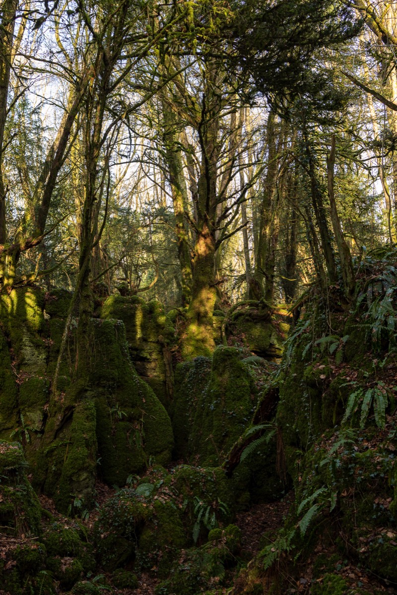 Stacks Image 1371