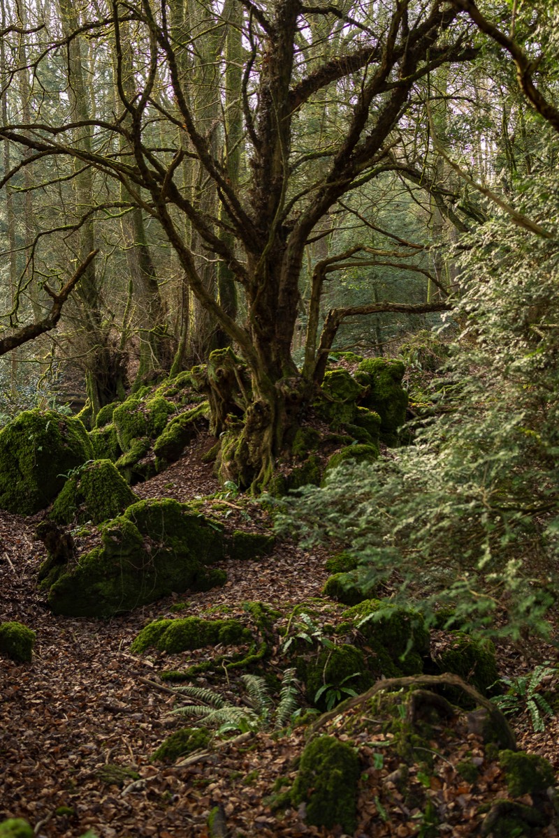 Stacks Image 1249