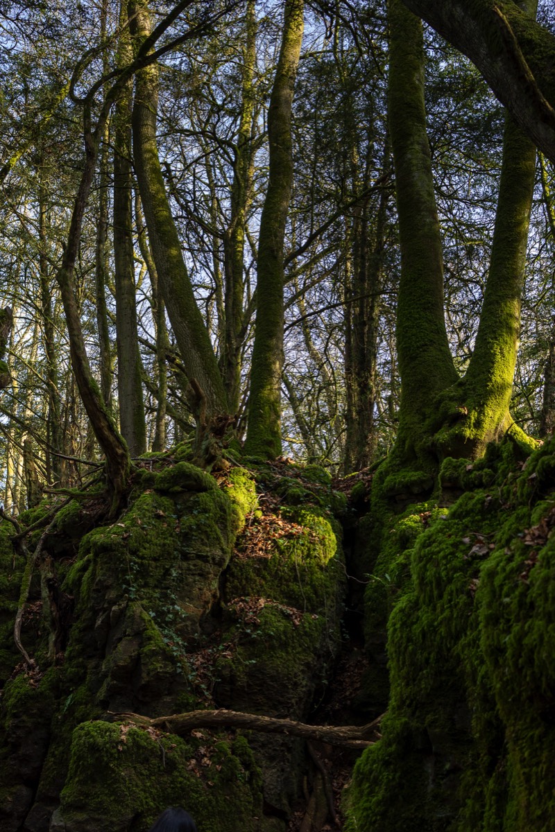 Stacks Image 1379
