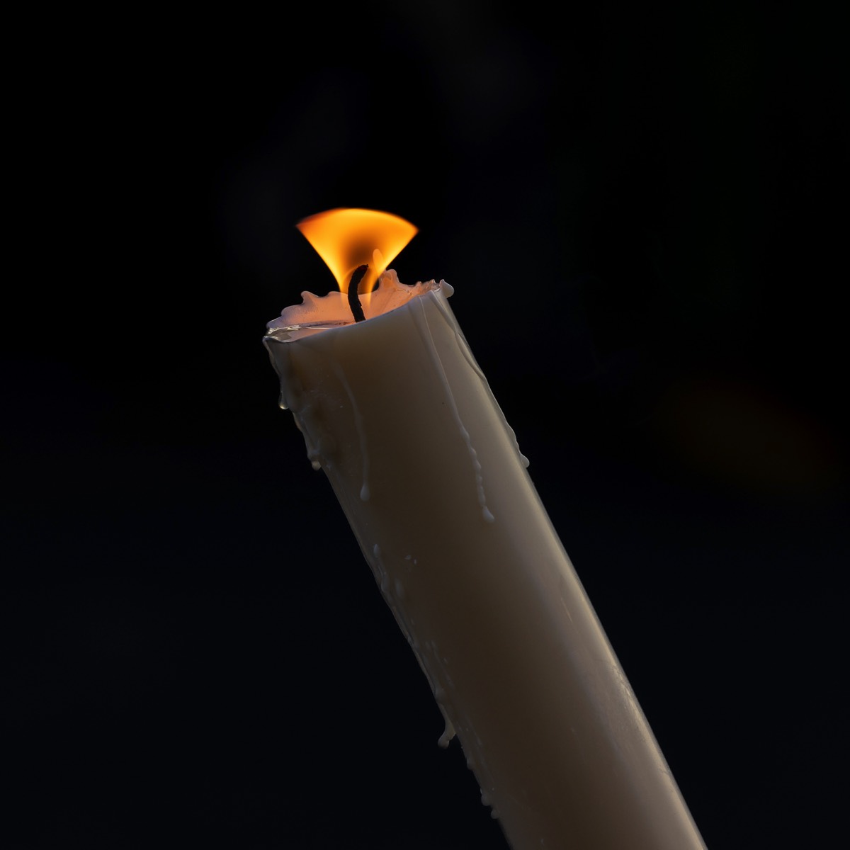 Stacks Image 1365