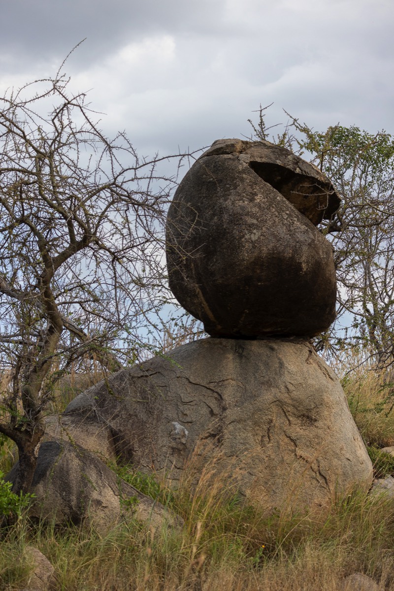 Stacks Image 1491