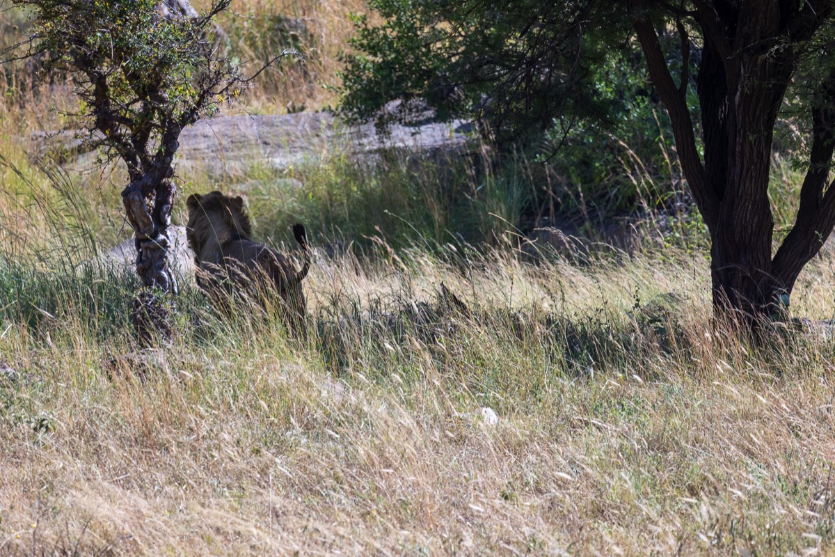 Stacks Image 1476