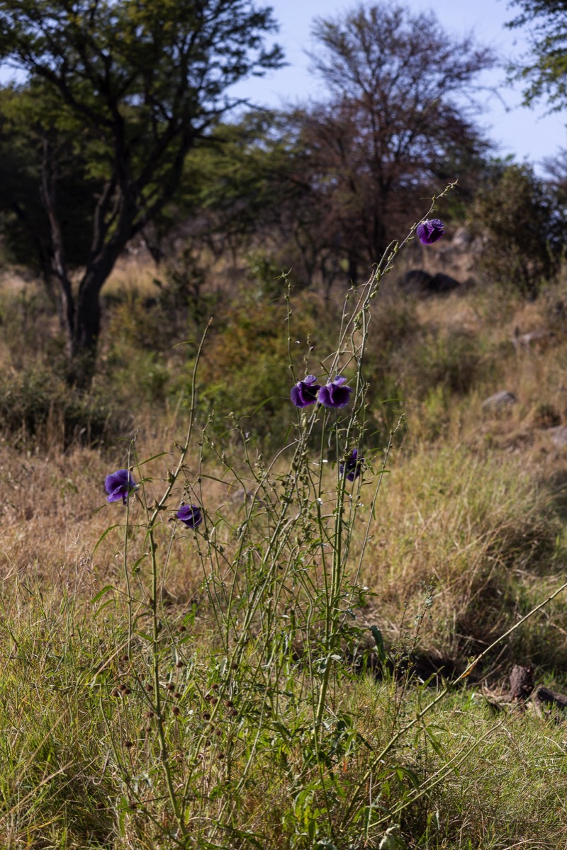 Stacks Image 1449