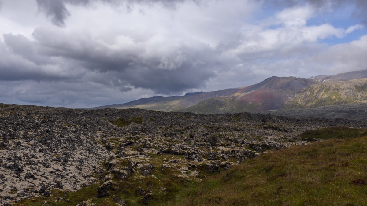 Stacks Image 1294