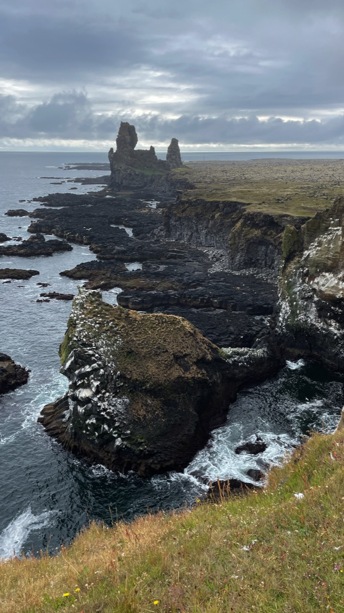 Stacks Image 1352