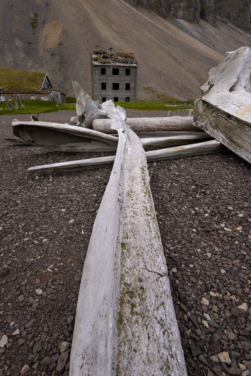 Stacks Image 1367