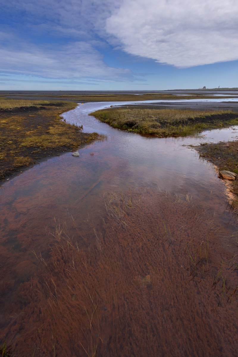 Stacks Image 1472