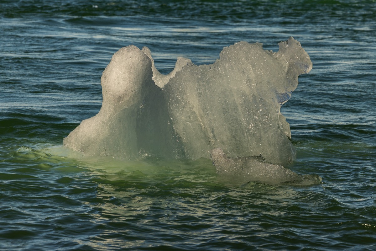 Stacks Image 1506