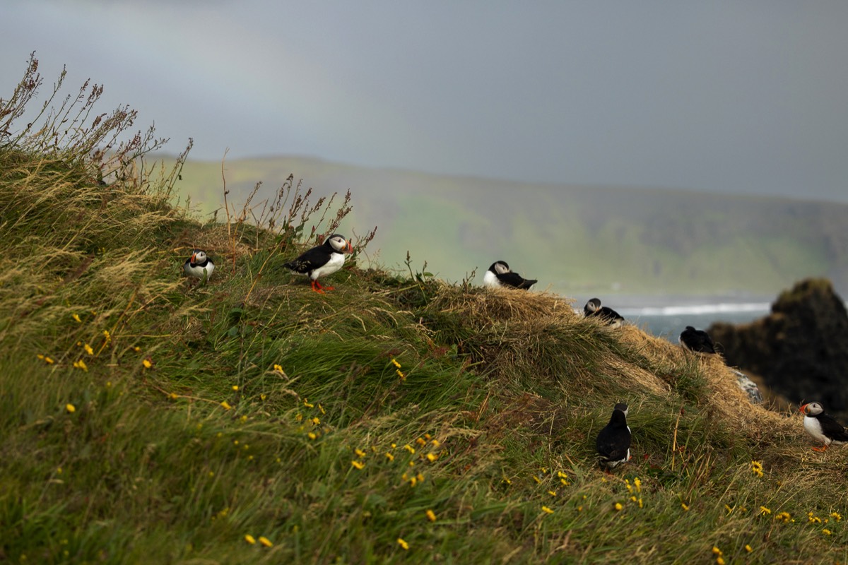 Stacks Image 1465