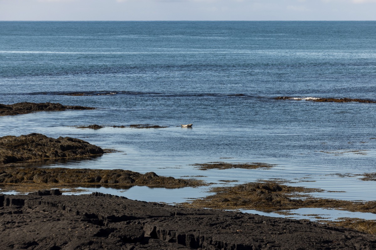 Stacks Image 1581
