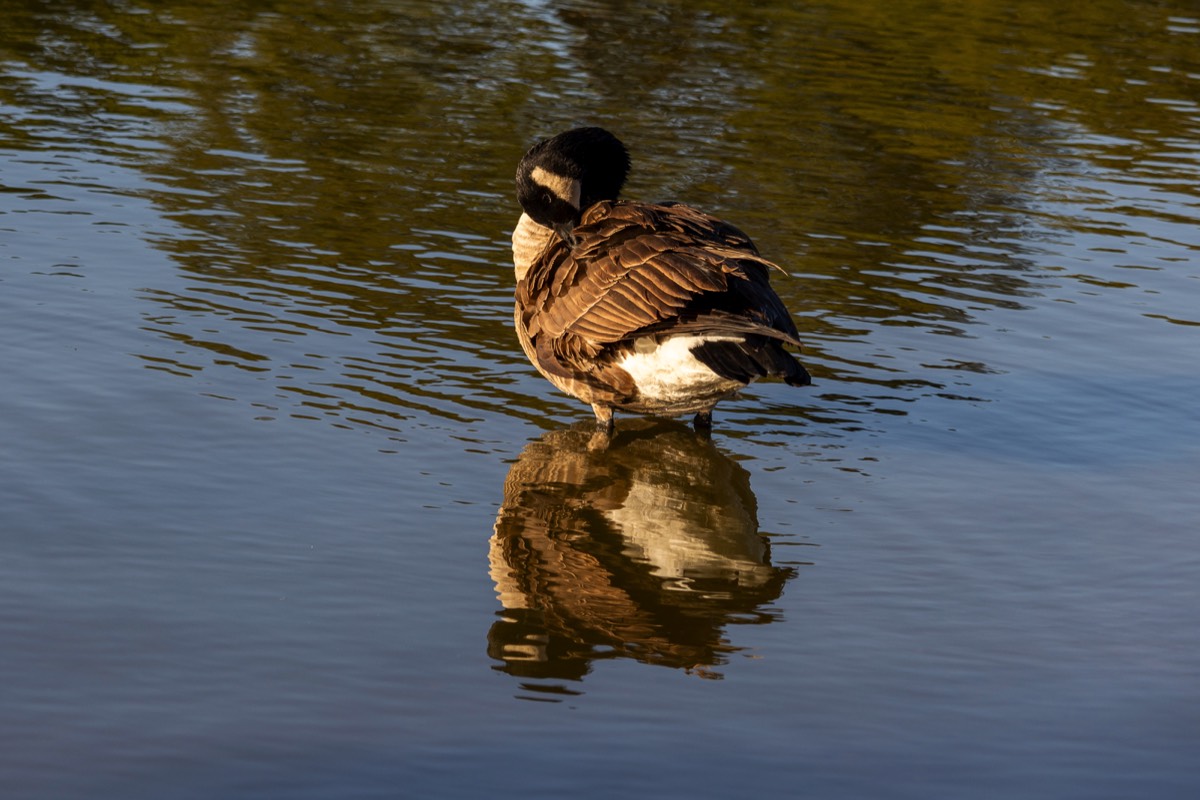Stacks Image 1275