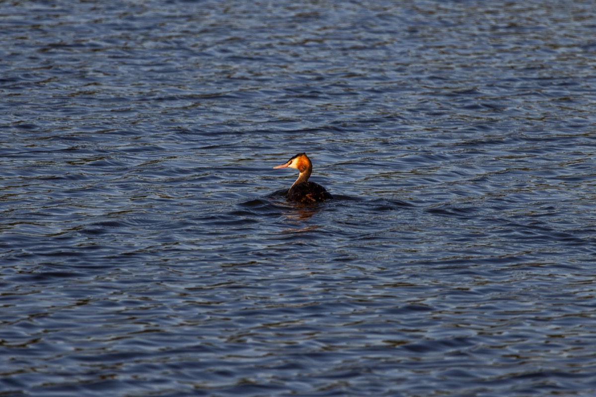 Stacks Image 1286