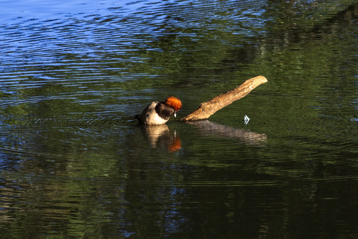 Stacks Image 1277