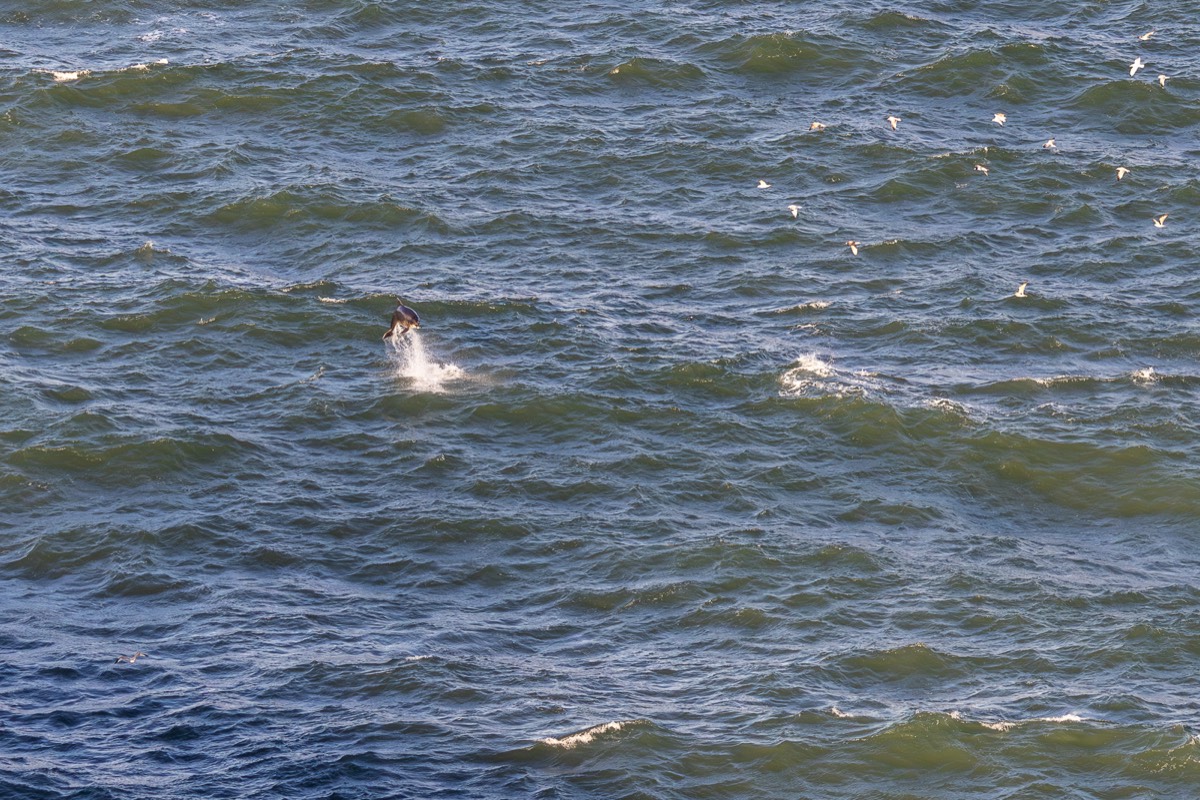 Stacks Image 1237