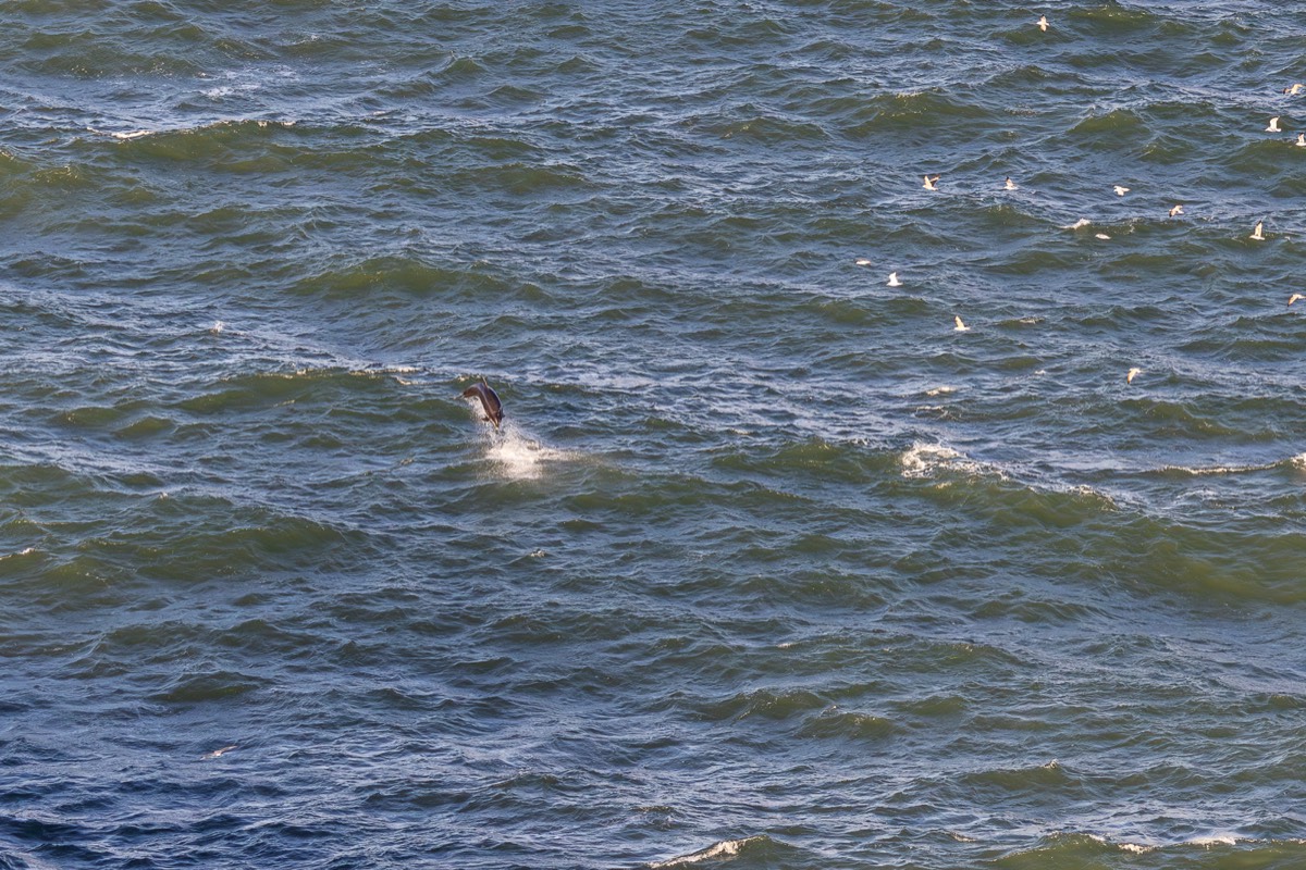 Stacks Image 1239