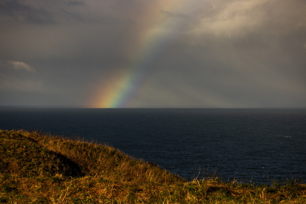 Stacks Image 1059