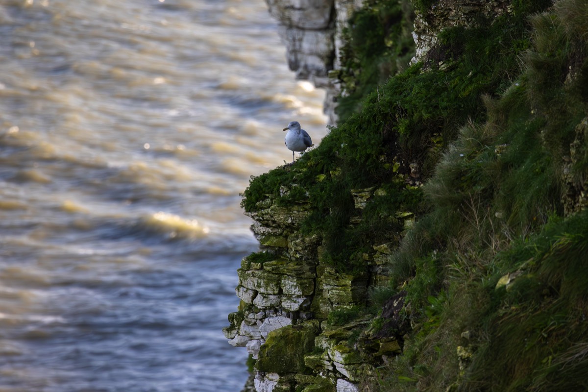Stacks Image 1061