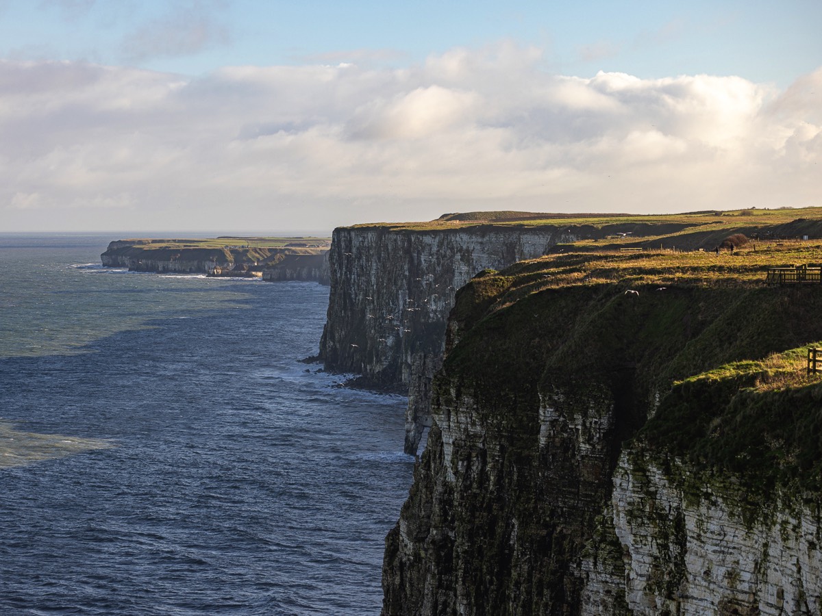 Stacks Image 1299