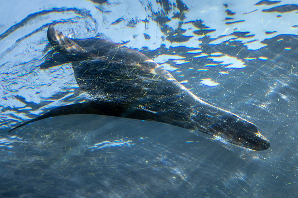 Stacks Image 61