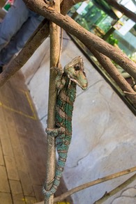 IMG 0019