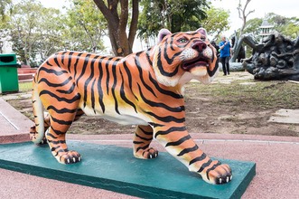 IMG 0119