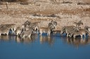 IMG 5210