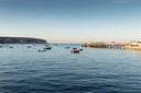 IMG 8430