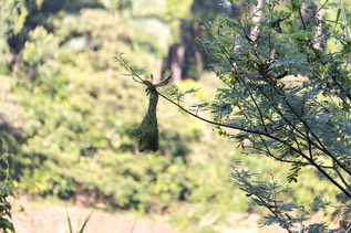 IMG 8462