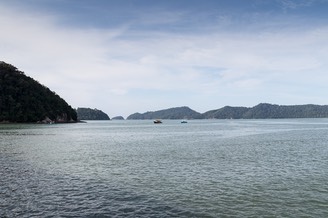 IMG 8845